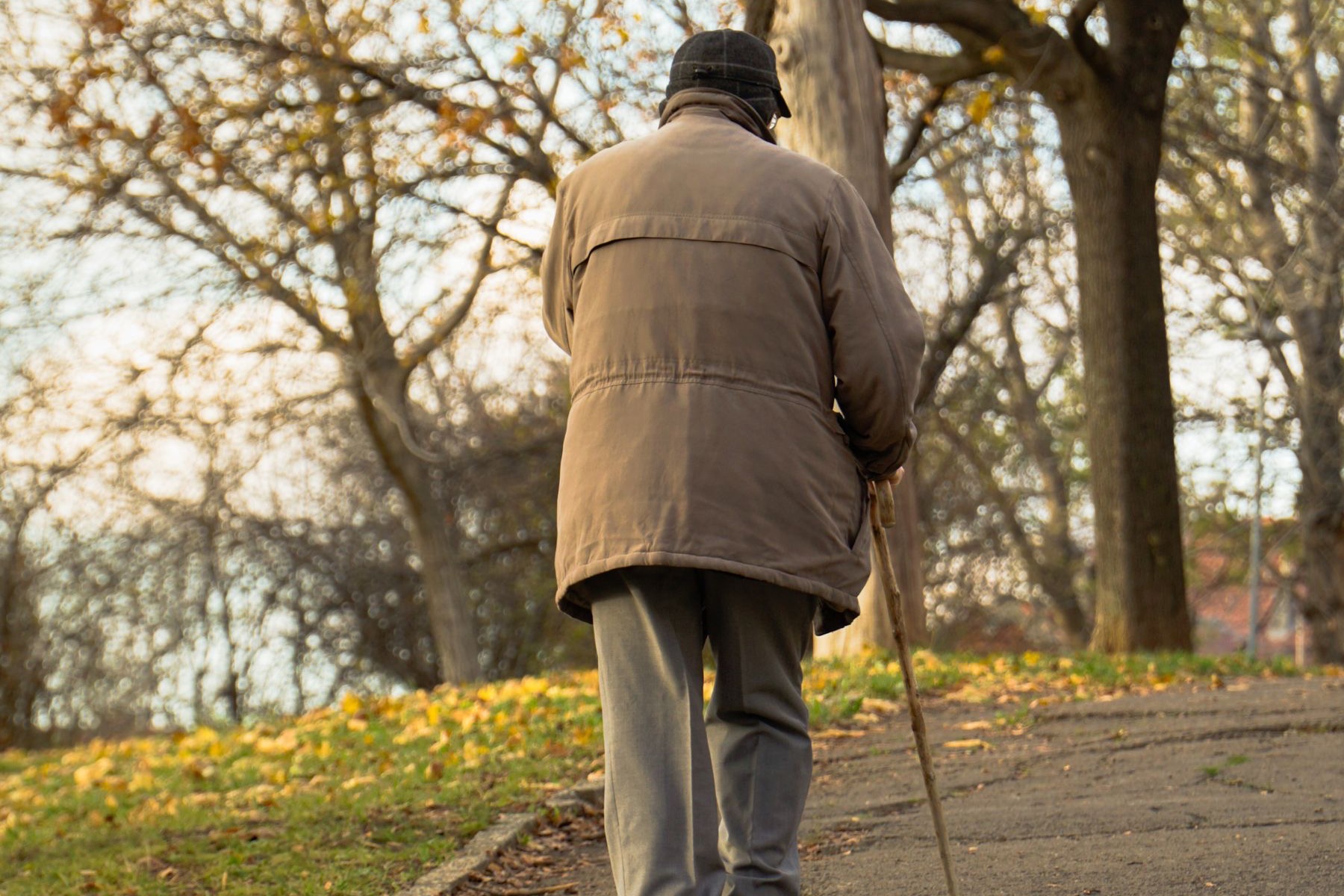 An older man walking with a cane along a park path